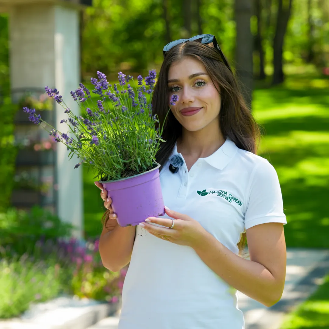 Realizacja ogrodu Mazovia Garden Service, nowoczesny ogród z gęstym trawnikiem z rolki