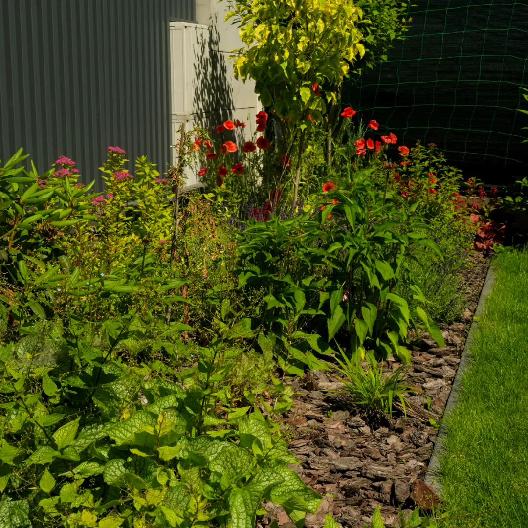 Realizacja ogrodu Mazovia Garden Service, rabaty i nasadzenia roślin przy domu