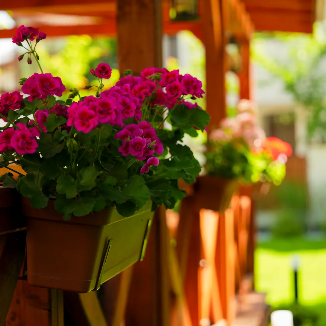 Realizacja ogrodu Mazovia Garden Service, strefa wypoczynku i taras w ogrodzie