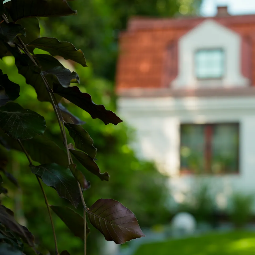Realizacja ogrodu Mazovia Garden Service, wypielęgnowany trawnik i zieleń ozdobna